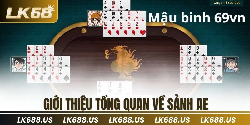 Giới thiệu tổng quan về sảnh AE