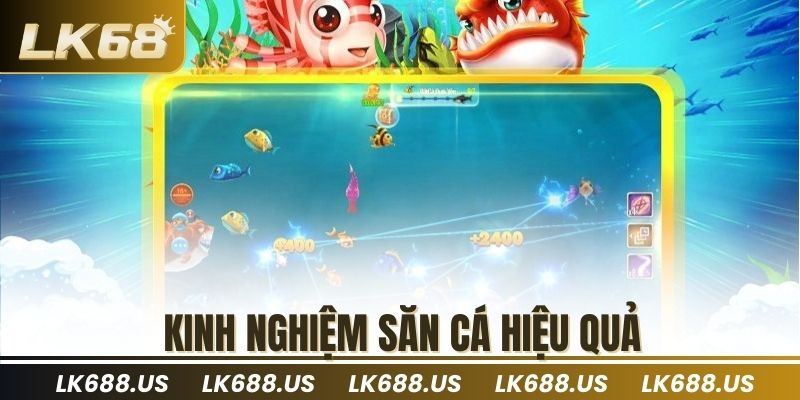 Kinh nghiệm săn cá hiệu quả