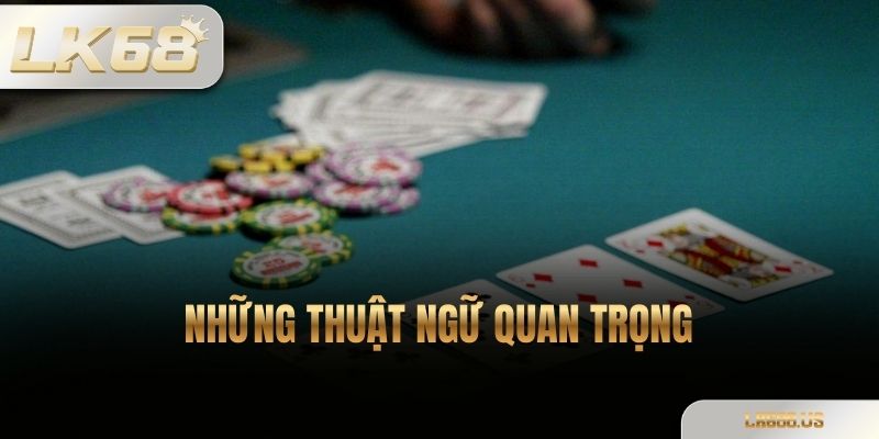 Những thuật ngữ quan trọng