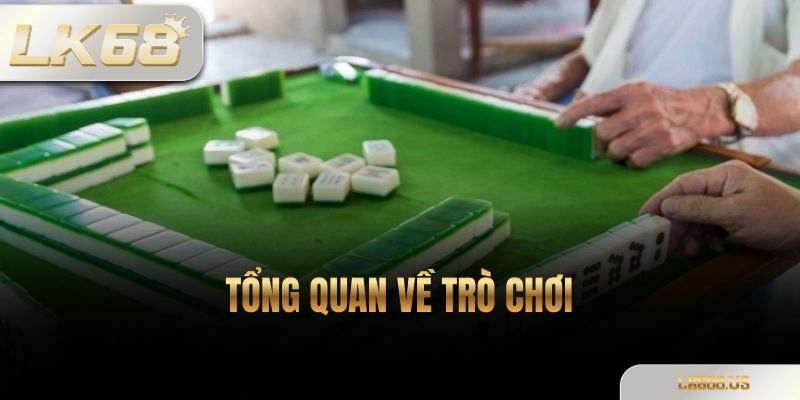 Tổng Quan Về Trò Chơi