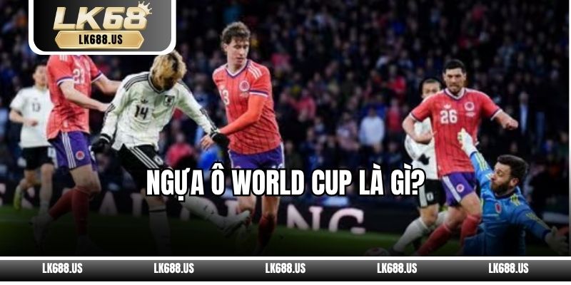 Ngựa Ô World Cup Là Gì?